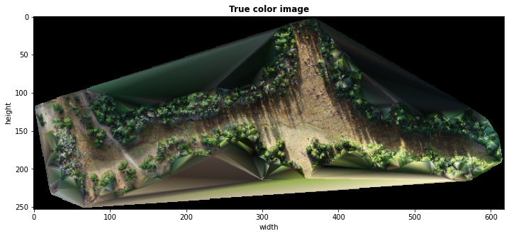 ../../../_images/Content_Documentation_lidar_Create_RGB_image_from_las_file_in_Python_40_0.png