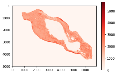 ../../../_images/Content_Lesson_geo-python-course_06.Raster-data-analysis_107_0.png